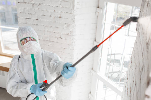 Liberty Corner, NJ Mold Inspection, Removal & Remediation Company