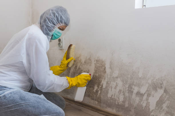 Best Commercial Mold Inspection  in Liberty Corner, NJ